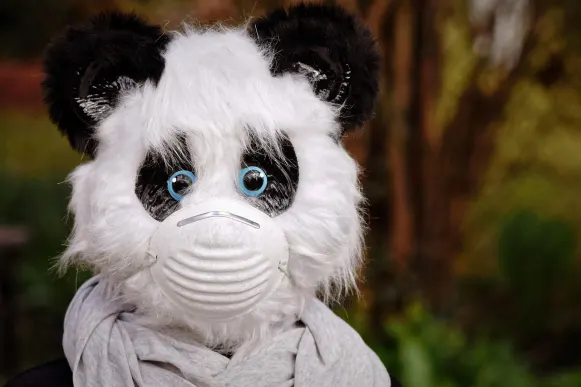 Casino Cyber Bingo Support